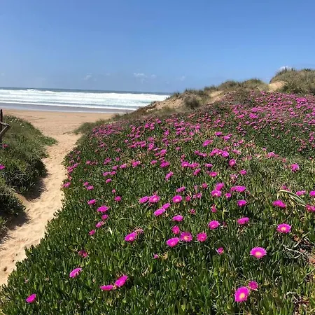 Casa Ivana -budens Algarve Surfen Budens